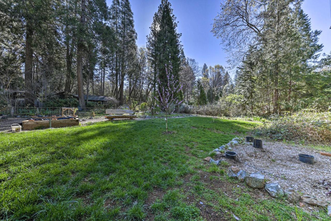 Peaceful Grass Valley Cottage With Bbq Grill And Yard! エクステリア 写真