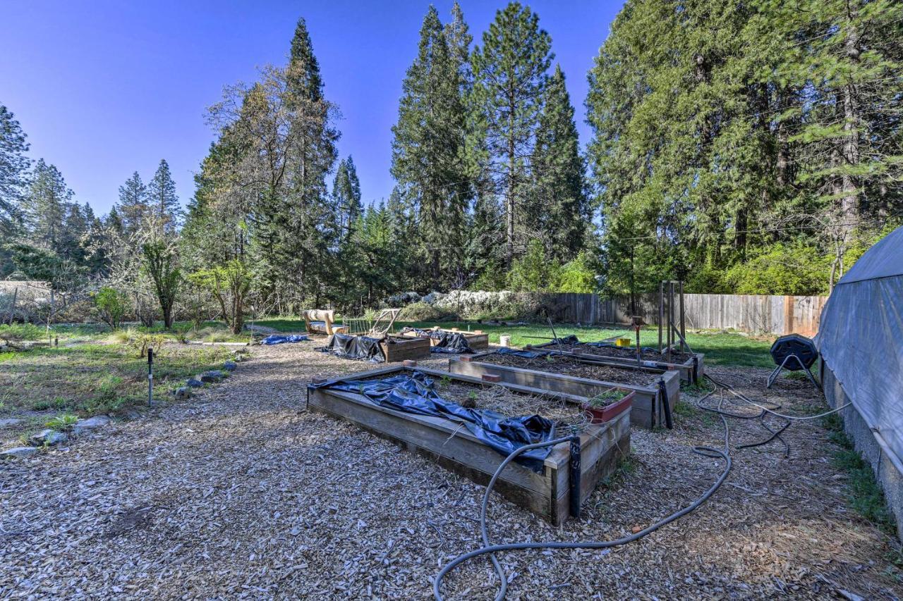 Peaceful Grass Valley Cottage With Bbq Grill And Yard! エクステリア 写真